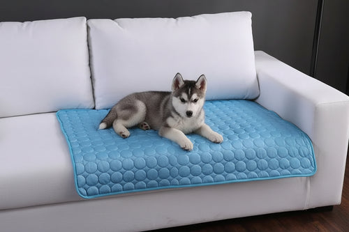 Cooling Mat - Summer Pet Bed for Dogs & Cats - Trendora